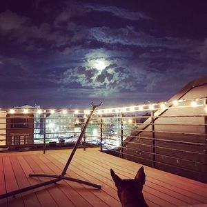 Meet your Posher, Francisco